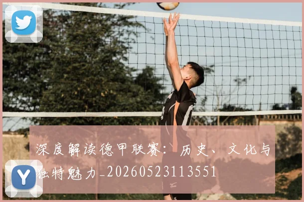 深度解读德甲联赛:历史、文化与独特魅力_20260523113551