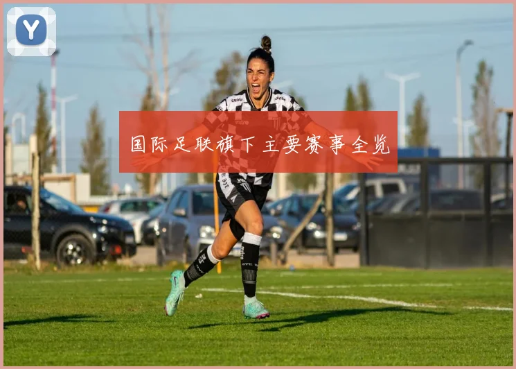 国际足联旗下主要赛事全览